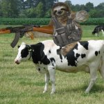 Sloth sniper cow