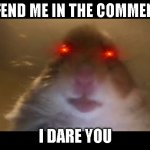 i said do it now | OFFEND ME IN THE COMMENTS; I DARE YOU | image tagged in hamster looking at camera,offensive | made w/ Imgflip meme maker