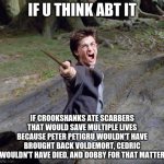 think abt it | IF U THINK ABT IT IF CROOKSHANKS ATE SCABBERS THAT WOULD SAVE MULTIPLE LIVES BECAUSE PETER PETIGRU WOULDN'T HAVE BROUGHT BACK VOLDEMORT, CED | image tagged in harry potter,harry potter meme | made w/ Imgflip meme maker