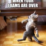 Exam over | WHEN YOUR EXAMS ARE OVER | image tagged in cat walking like a boss,funny,funny memes | made w/ Imgflip meme maker