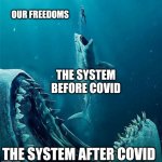 always a bigger shark | OUR FREEDOMS THE SYSTEM BEFORE COVID THE SYSTEM AFTER COVID | image tagged in always a bigger shark,system,freedom,before and after | made w/ Imgflip meme maker