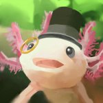 Dapper Axolotl