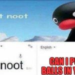 ur mom memes | CAN I PUT MY BALLS IN YOU JAW | image tagged in noot noot google translate,funny memes | made w/ Imgflip meme maker