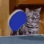 Cat Ping Pong GIF Template