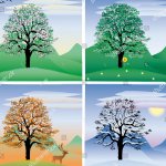 seasons