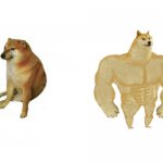 Cheems vs Buff Doge