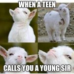 facts | WHEN A TEEN; CALLS YOU A YOUNG SIR | image tagged in proud lamb | made w/ Imgflip meme maker