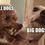 Angry Doog | SMALL DOGS; BIG DOGS | image tagged in angry doog | made w/ Imgflip meme maker