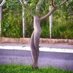 ballerina tree