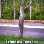 ballerina tree | ANYONE ELSE THINK THIS
TREE NEEDS A TUTU? | image tagged in funny memes,dancing tree,ballerina,tutu,need,tree | made w/ Imgflip meme maker
