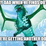 Dragon from Wings of Fire | MY DAD WHEN HE FINDS OUT; WE'RE GETTING ANOTHER DOG | image tagged in dragon from wings of fire | made w/ Imgflip meme maker
