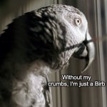 Without my crumbs, I'm just a Birb