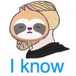 Sloth I know meme