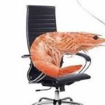 chair shrimp