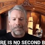 no second best GIF Template