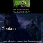 F for the geckos | Geckos | image tagged in i guide others to a treasure i cannot possess | made w/ Imgflip meme maker