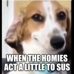 well sone | WHEN THE HOMIES ACT A LITTLE TO SUS | image tagged in well done soldier | made w/ Imgflip meme maker