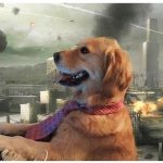 Disaster Dog meme