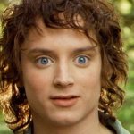 Frodo excited