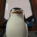 Optimistic Penguin GIF Template