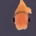 funy lil fish GIF Template