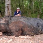 Monster hog
