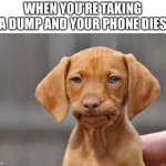 Idk what to title this so… How was your day? | WHEN YOU’RE TAKING A DUMP AND YOUR PHONE DIES | image tagged in disapointed dog,bathroom humor | made w/ Imgflip meme maker