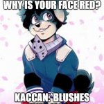 To The Furries Who Watch MHA... Here Ya Go. | FURRY DEKU: KACCAN, WHY IS YOUR FACE RED? KACCAN:*BLUSHES EVEN MORE. | image tagged in furry deku | made w/ Imgflip meme maker