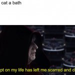 This Attempt On My Life Has Left Me Scarred and Deformed | Me: Gives cat a bath; The cat: | image tagged in this attempt on my life has left me scarred and deformed | made w/ Imgflip meme maker