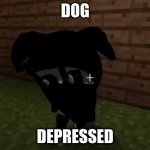 idk | DOG; DEPRESSED | image tagged in depression | made w/ Imgflip meme maker