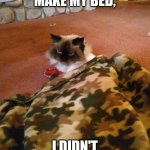 Violence in bed | WHEN I SAID "MAKE MY BED,"; I DIDN'T MEAN THIS WAY! | image tagged in violence | made w/ Imgflip meme maker