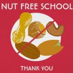 nut free school