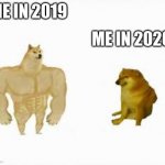 Meme perro 2020 | ME IN 2019; ME IN 2020 | image tagged in meme perro 2020 | made w/ Imgflip meme maker