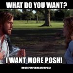 The Notebook - What Do You Want | WHAT DO YOU WANT? I WANT MORE POSH! MOOREPAMPERING4YOU.PO.SH | image tagged in the notebook - what do you want | made w/ Imgflip meme maker