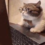 Cat Computer GIF Template