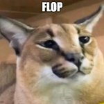 Floppa | FLOP | image tagged in floppa | made w/ Imgflip meme maker