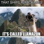 Yo llama | THERE IS A COMPANY THAT SHIPS ALPACKAGES; IT'S CALLED LLAMAZON | image tagged in llama,amazon,alpaca,package,bad pun,memes | made w/ Imgflip meme maker