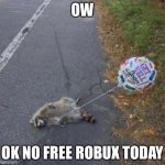 No robux | OW; OK NO FREE ROBUX TODAY | image tagged in get well racoon,hide the pain harold,distracted boyfriend | made w/ Imgflip meme maker