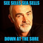 Read it in his voice | SEE SELLS SEA SELLS; DOWN AT THE SORE | image tagged in sean connery of coursh | made w/ Imgflip meme maker