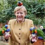 Merkel Papagei template