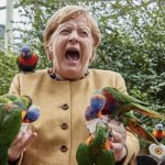 Angela Merkel Parrots