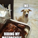 Anticipation Dog Mia | ME; RIDING MY MOTORCYCLE | image tagged in anticipation dog mia | made w/ Imgflip meme maker