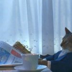 Cat reading newspaper for breakfast meme