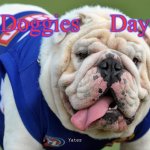 AFL Bulldogs | Doggies     Day; Yates | image tagged in doggies,bulldogs | made w/ Imgflip meme maker