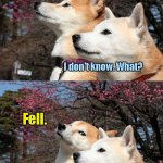 Bad Pun Dogs | What do you call an autumn season once it's passed? I don't know. What? Fell. | image tagged in bad pun dogs,seasons,jokes,humor | made w/ Imgflip meme maker