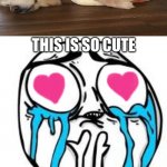 AWWWW | THIS IS SO CUTE | image tagged in memes,wholesome | made w/ Imgflip meme maker