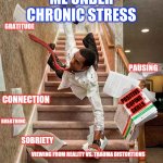 Coping with life | ME UNDER CHRONIC STRESS; GRATITUDE; PAUSING; POSITIVE COPING SKILLS; CONNECTION; BREATHING; SOBRIETY; VIEWING FROM REALITY VS. TRAUMA DISTORTIONS | image tagged in falling down the stairs | made w/ Imgflip meme maker
