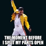 freddie mercury | THE MOMENT BEFORE I SPLIT MY PANTS OPEN | image tagged in freddie mercury | made w/ Imgflip meme maker