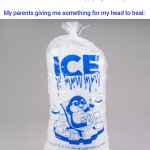 Painful bump on my head | The 5 year old me: accidentally bumps my head onto the wall while horseplaying with my friends; My parents giving me something for my head to heal: | image tagged in bag of ice,blank white template,memes,funny,meme,friends | made w/ Imgflip meme maker