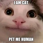 Pet mr | I AM CAT; PET ME HUMAN | image tagged in beluga,memes,funny,funny memes,cats,oh wow are you actually reading these tags | made w/ Imgflip meme maker